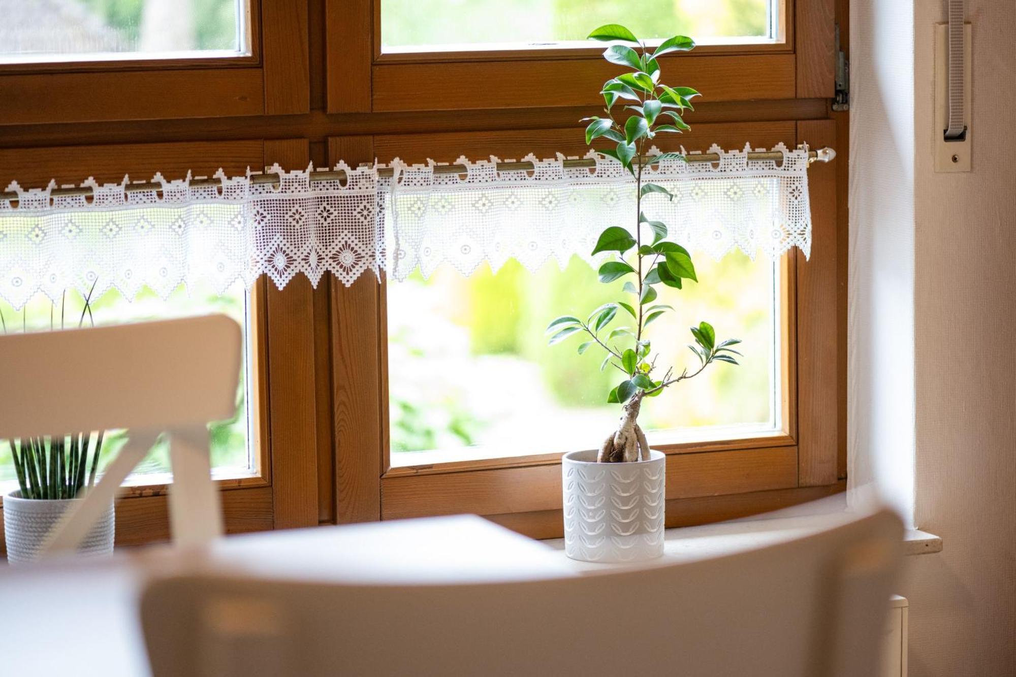Ferienwohnung Pop S Huus 35226 Holtland Dış mekan fotoğraf